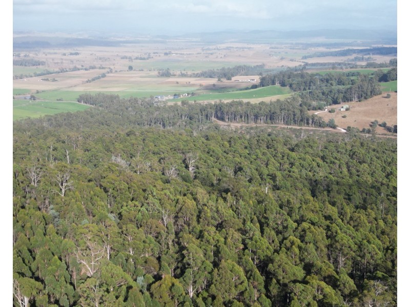 Bradys Plains Road, Parkham TAS 7304