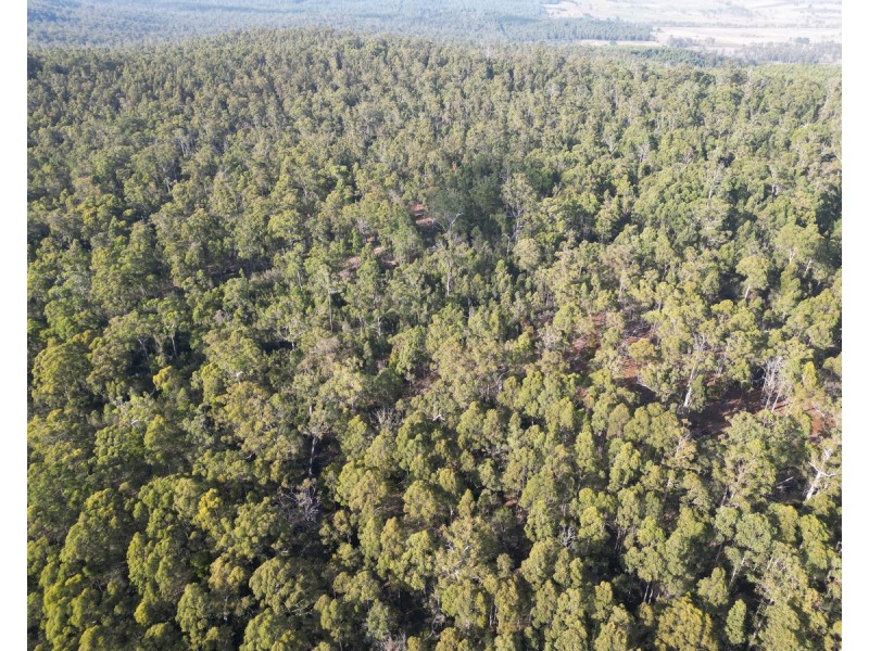 Bradys Plains Road, Parkham TAS 7304