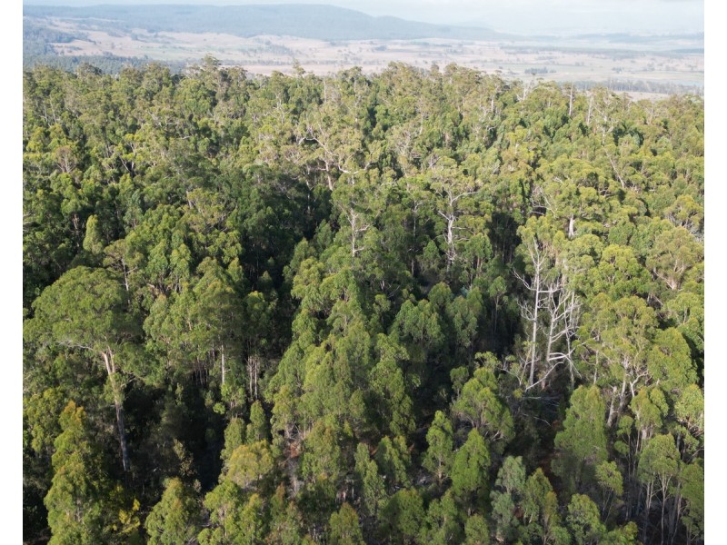 Bradys Plains Road, Parkham TAS 7304