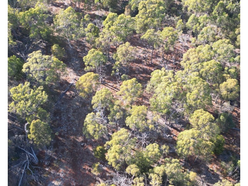 Bradys Plains Road, Parkham TAS 7304