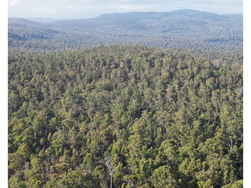 Bradys Plains Road, Parkham TAS 7304