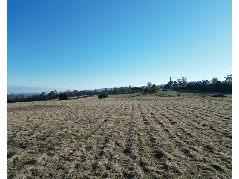 35 Towers Drive, St Leonards TAS 7250
