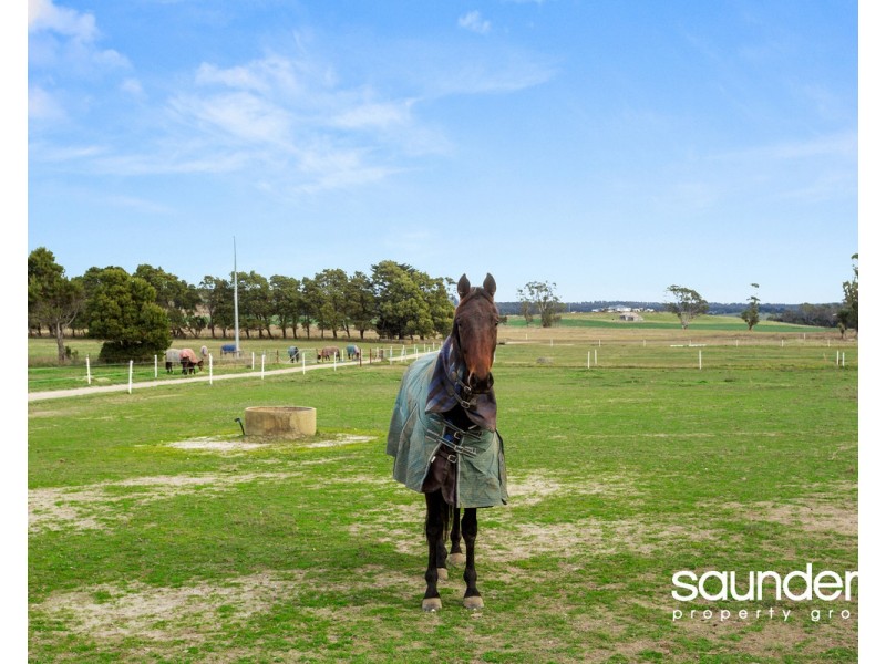 35 Back Creek Road, Pipers River TAS 7252