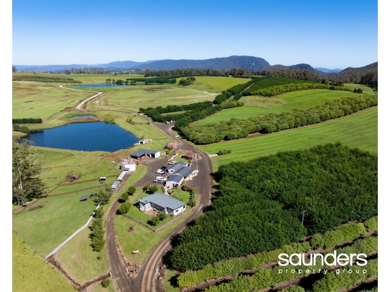 110 Trickett Road, Needles TAS 7304