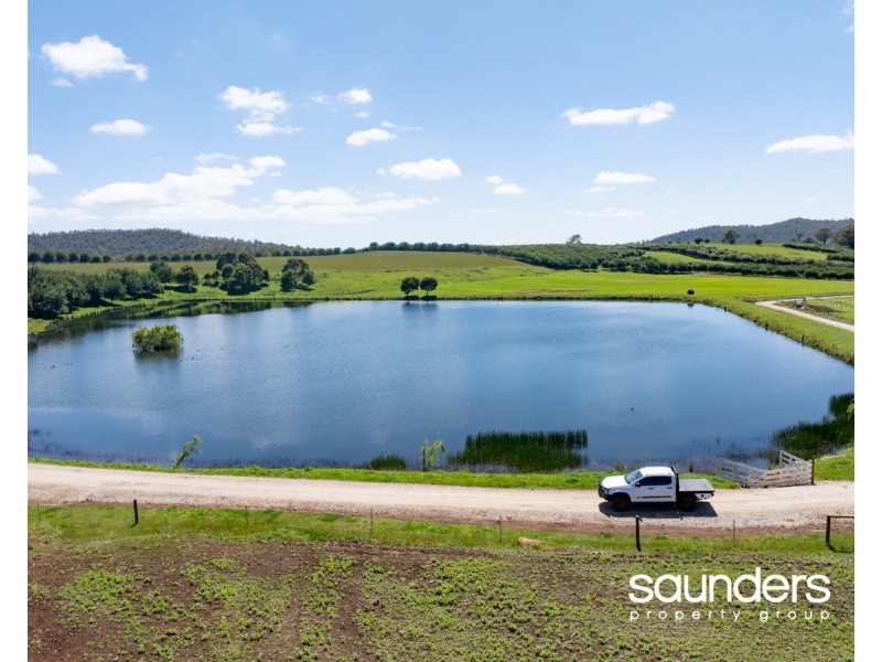 110 Trickett Road, Needles TAS 7304