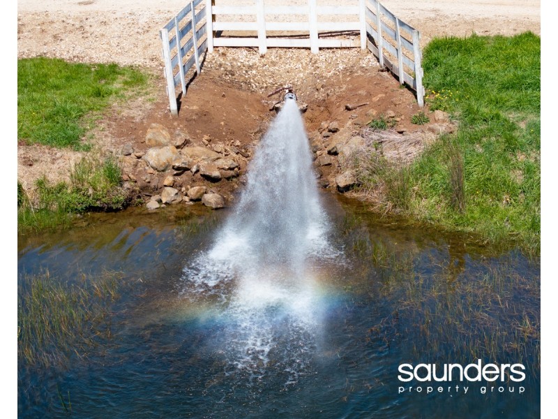 110 Trickett Road, Needles TAS 7304