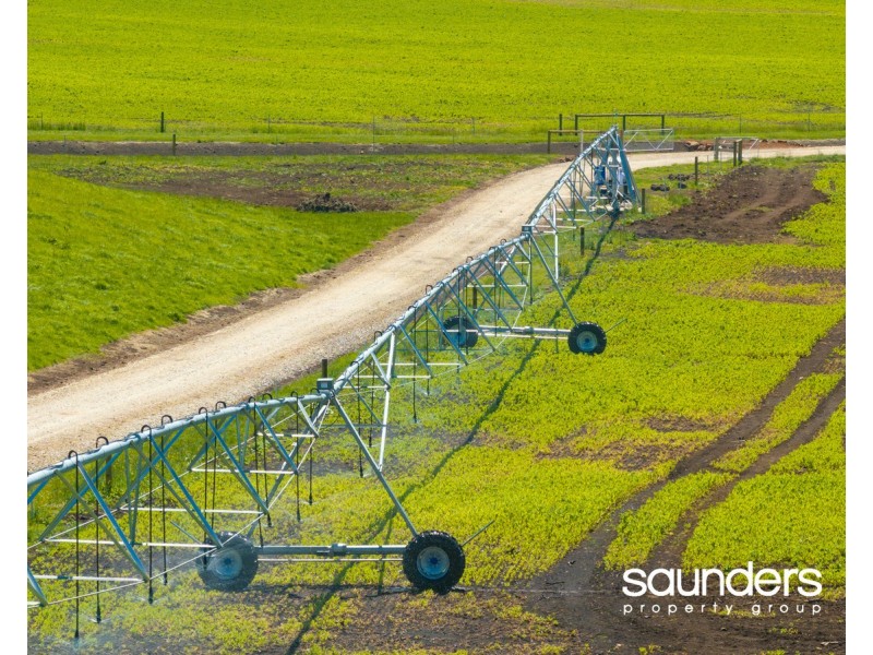 110 Trickett Road, Needles TAS 7304