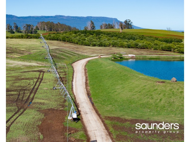 110 Trickett Road, Needles TAS 7304