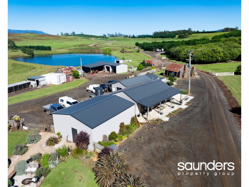 110 Trickett Road, Needles TAS 7304