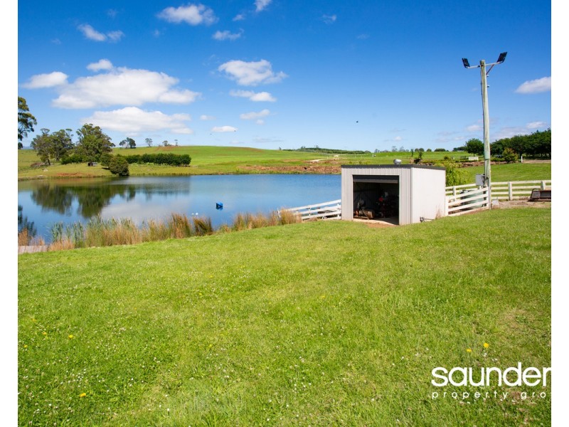 110 Trickett Road, Needles TAS 7304
