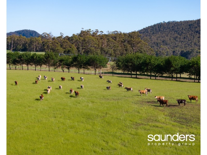 110 Trickett Road, Needles TAS 7304