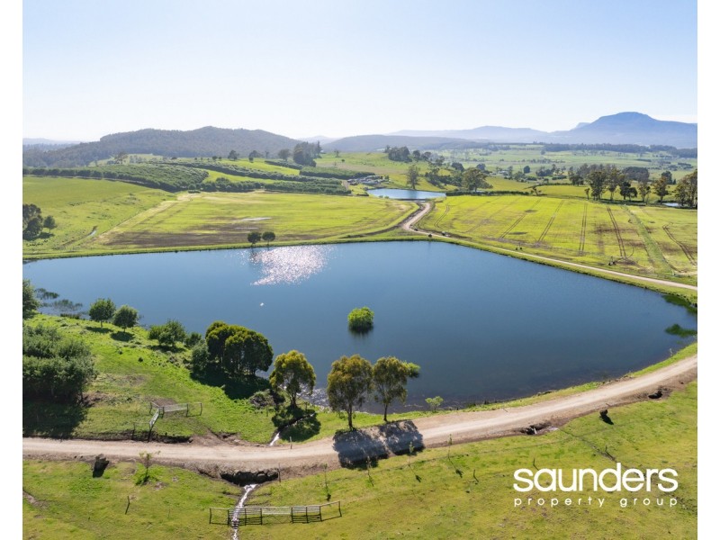 110 Trickett Road, Needles TAS 7304