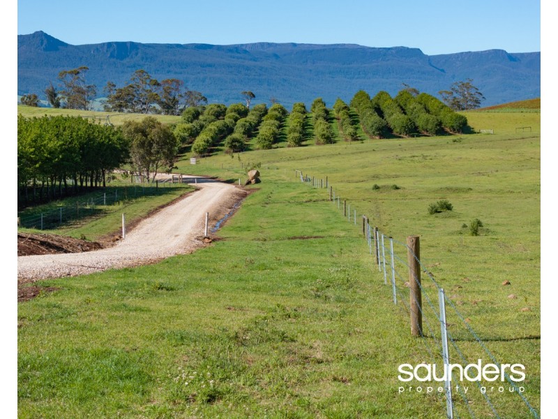 110 Trickett Road, Needles TAS 7304