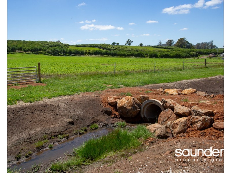 110 Trickett Road, Needles TAS 7304