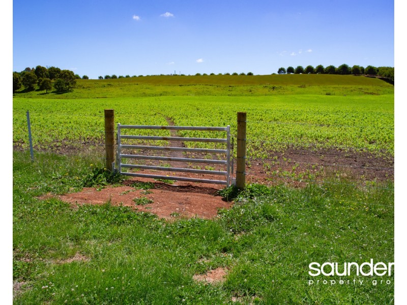 110 Trickett Road, Needles TAS 7304