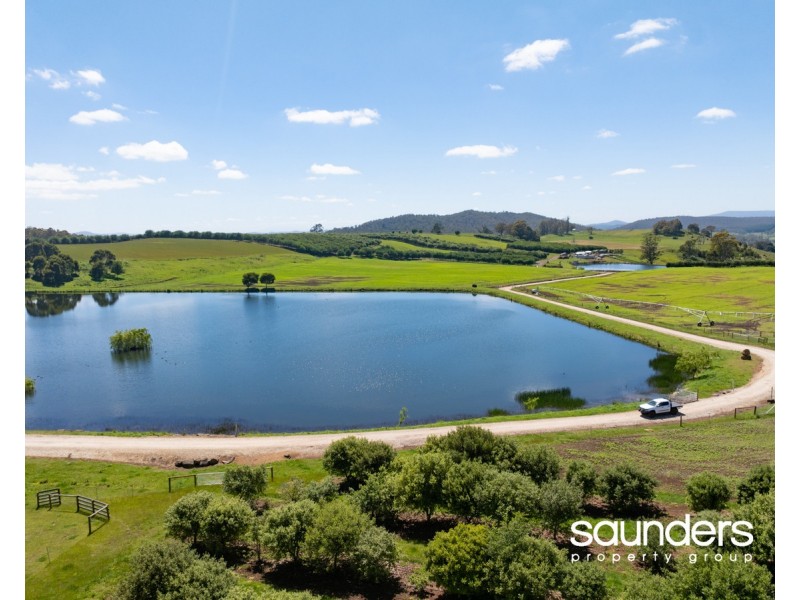 110 Trickett Road, Needles TAS 7304