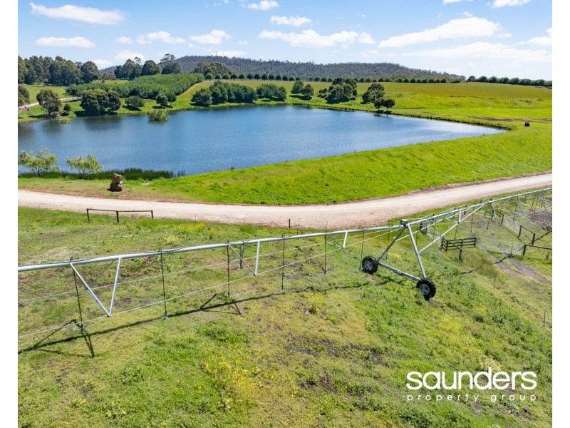 110 Trickett Road, Needles TAS 7304