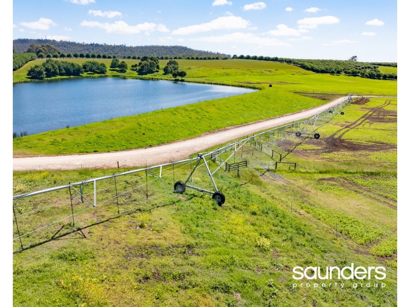 110 Trickett Road, Needles TAS 7304