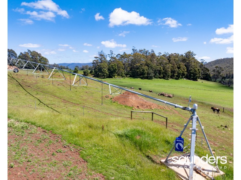 110 Trickett Road, Needles TAS 7304