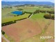110 Trickett Road, Needles TAS 7304