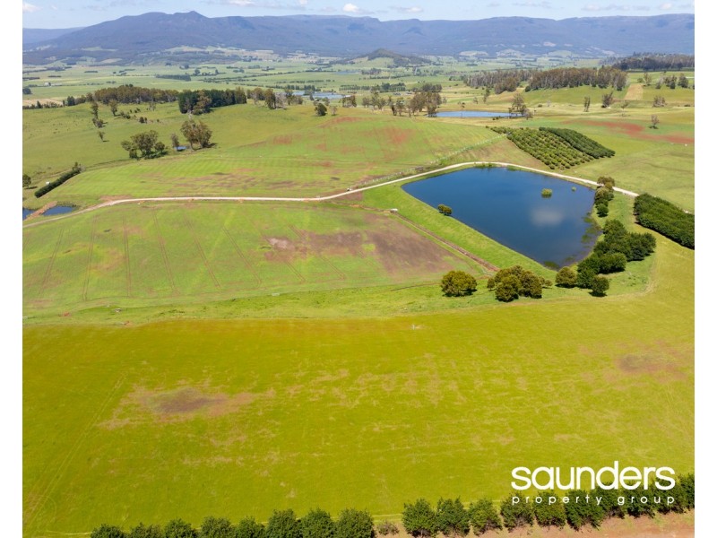 110 Trickett Road, Needles TAS 7304