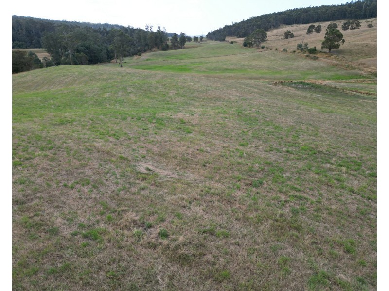 116 Lees Road, Bangor TAS 7267