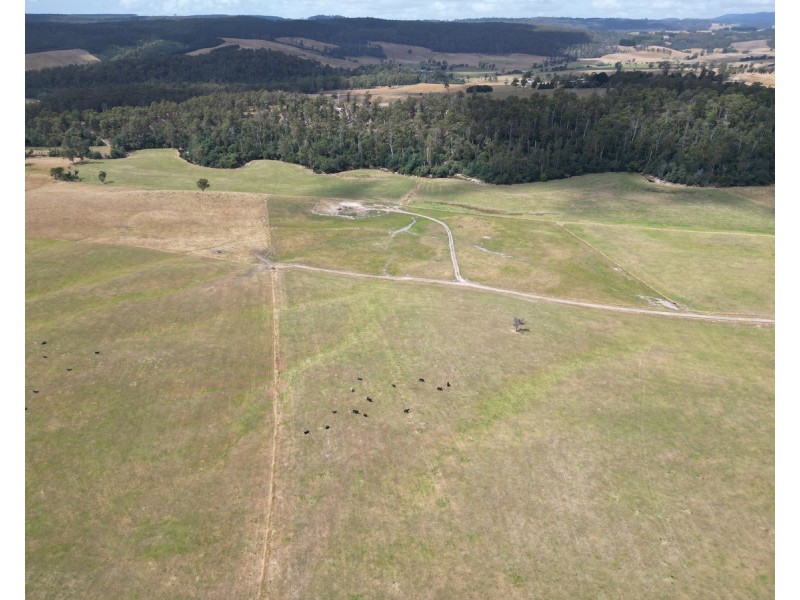 1606 Pipers River Road, Karoola TAS 7267