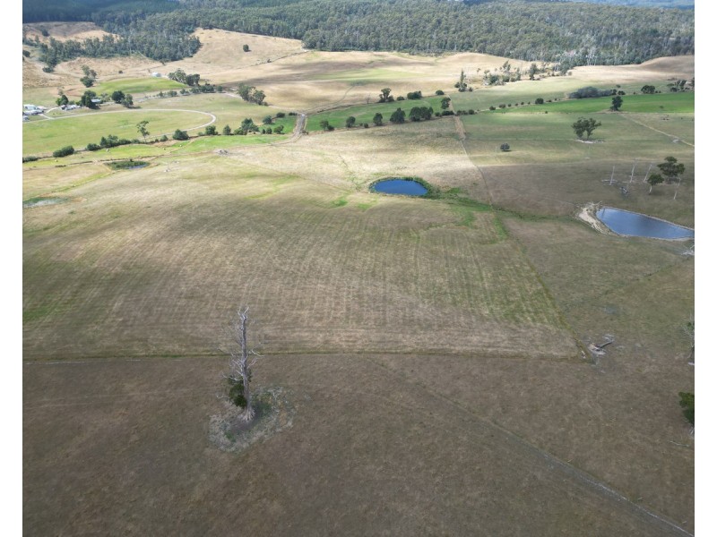 70-100 Gundagai Road, Bangor TAS 7267