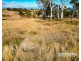 11 Magpie Crescent, St Leonards TAS 7250