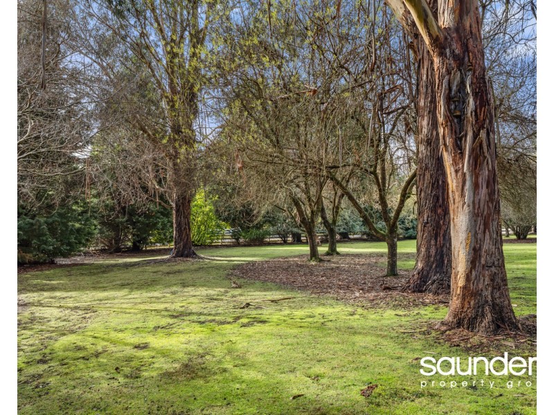 1 Mountain View Crescent, Grindelwald TAS 7277