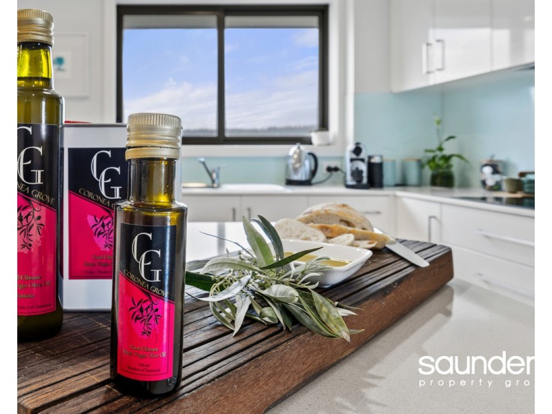 121 Saunders Drive, Hadspen TAS 7290