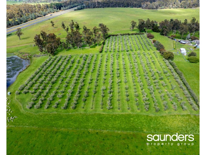 121 Saunders Drive, Hadspen TAS 7290