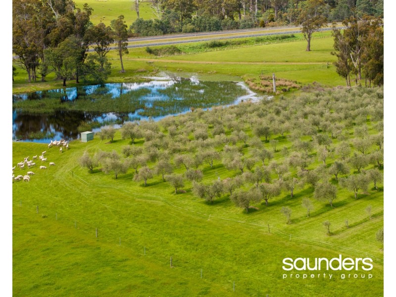 121 Saunders Drive, Hadspen TAS 7290