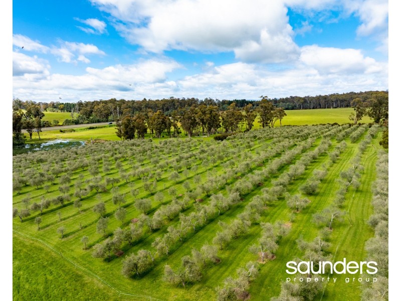 121 Saunders Drive, Hadspen TAS 7290