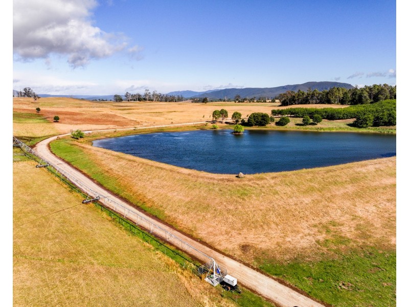 110 Trickett Road, Needles TAS 7304