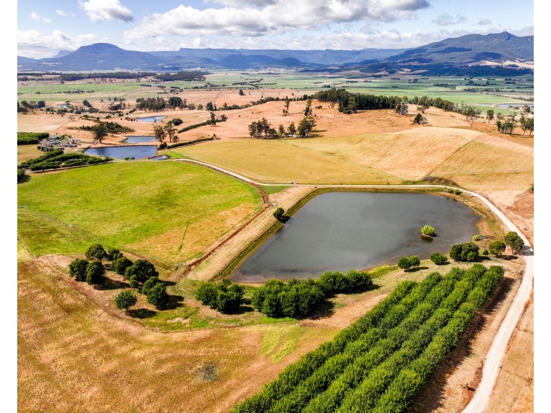 110 Trickett Road, Needles TAS 7304