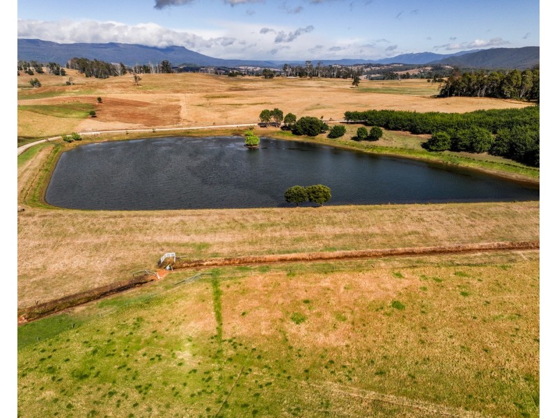 110 Trickett Road, Needles TAS 7304