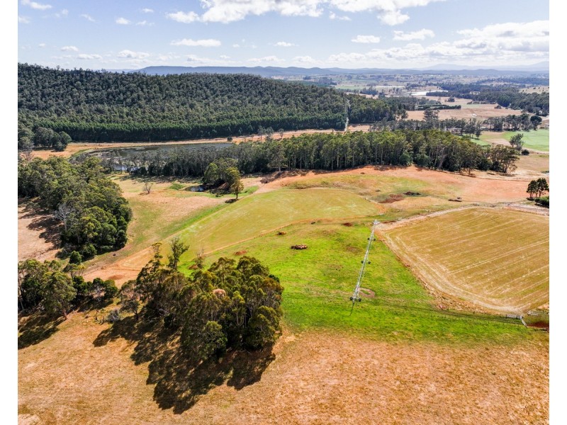 110 Trickett Road, Needles TAS 7304