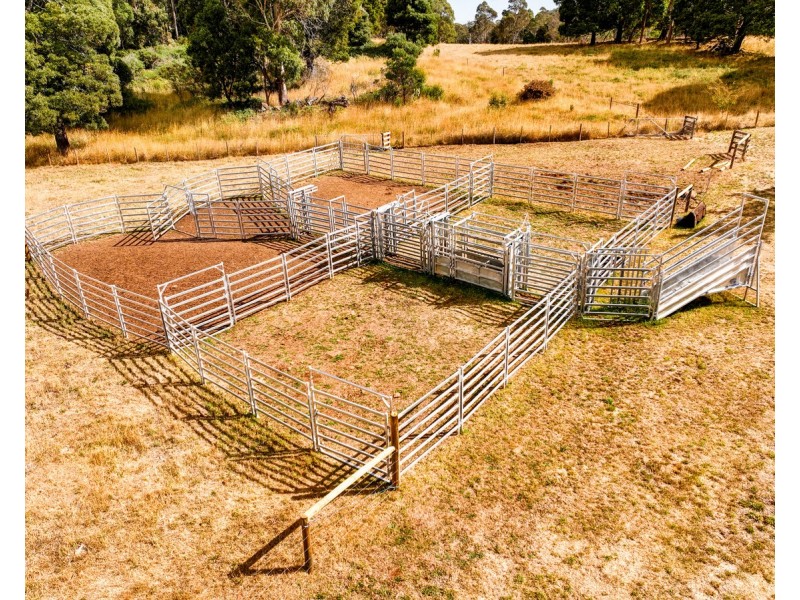 110 Trickett Road, Needles TAS 7304