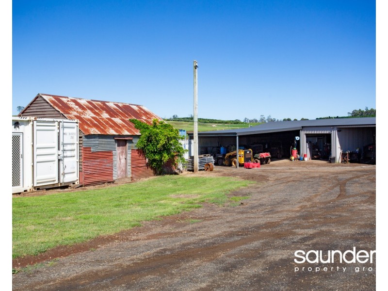 110 Trickett Road, Needles TAS 7304