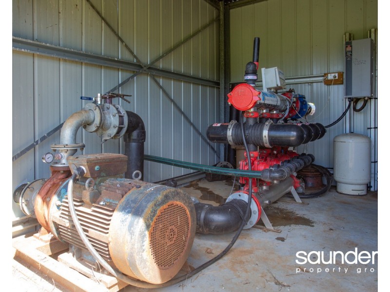 110 Trickett Road, Needles TAS 7304