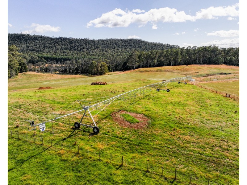 110 Trickett Road, Needles TAS 7304