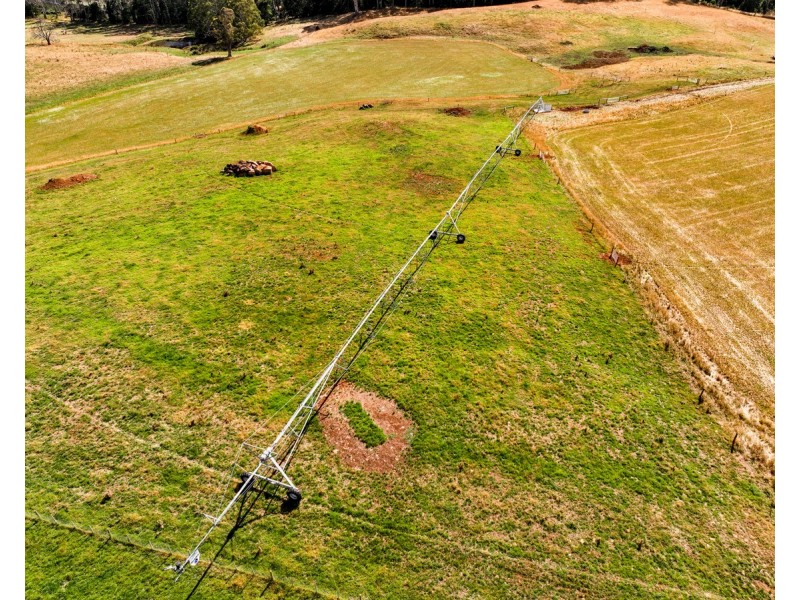 110 Trickett Road, Needles TAS 7304