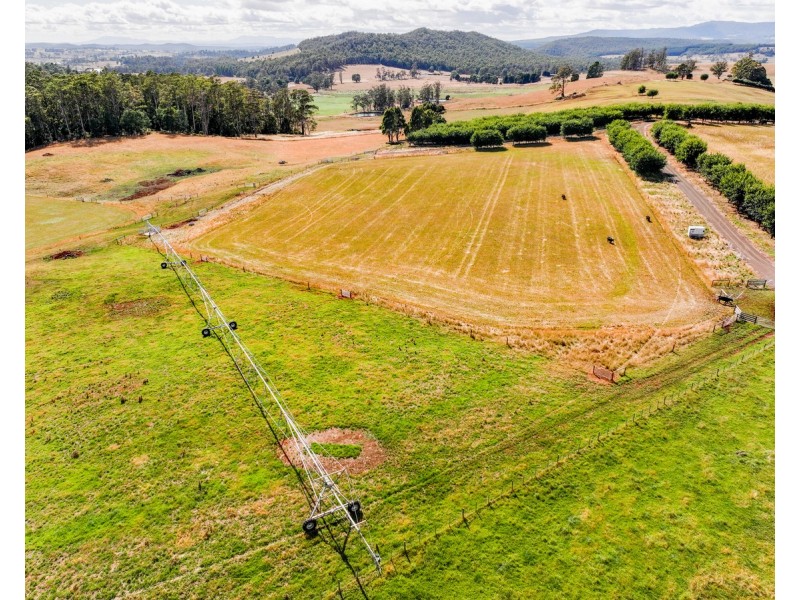 110 Trickett Road, Needles TAS 7304