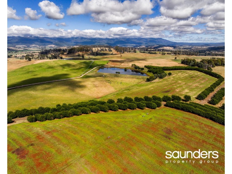 110 Trickett Road, Needles TAS 7304