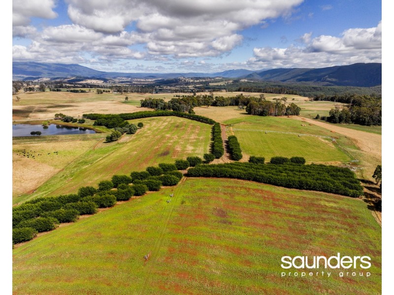 110 Trickett Road, Needles TAS 7304