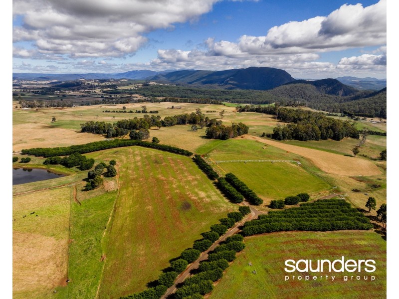 110 Trickett Road, Needles TAS 7304