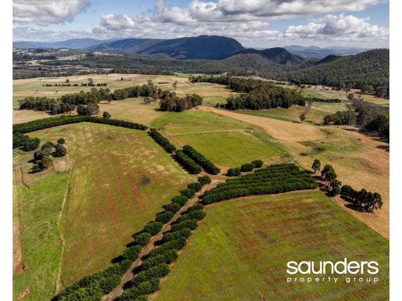 110 Trickett Road, Needles TAS 7304