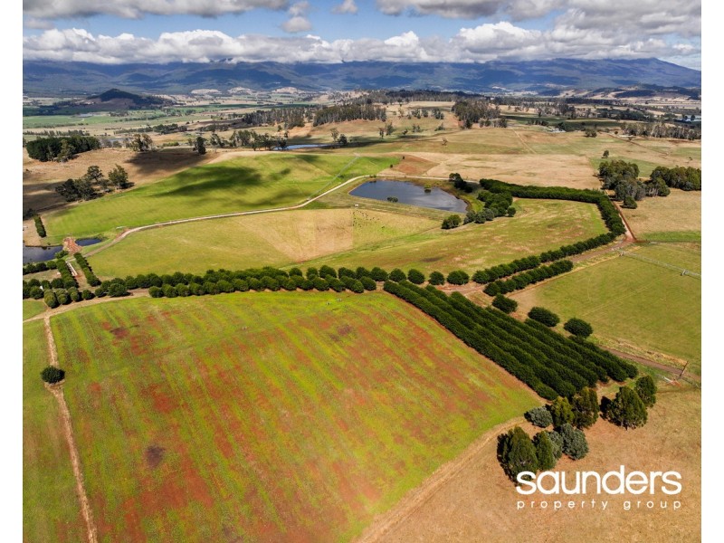 110 Trickett Road, Needles TAS 7304