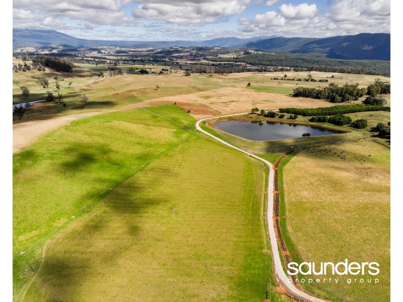 110 Trickett Road, Needles TAS 7304